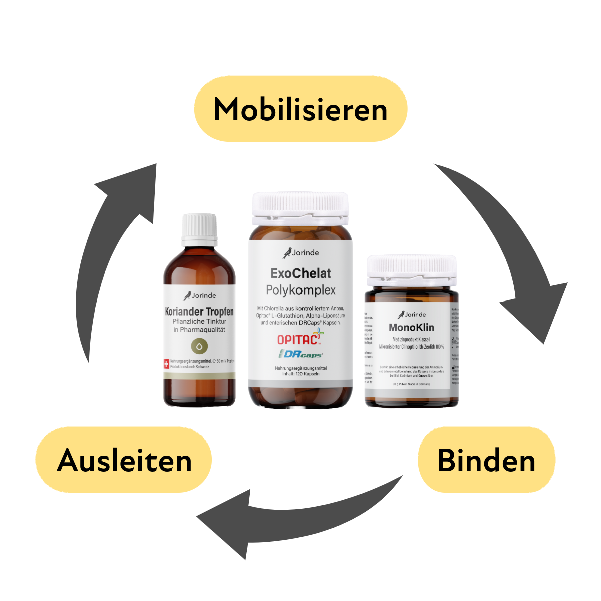 Schwermetallausleitung Jorinde