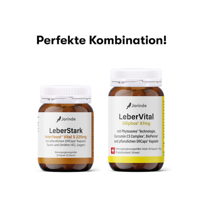 LeberStark Leberkur