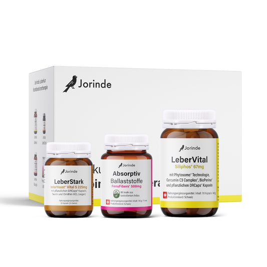 Leberkur Jorinde Kombinationstherapie