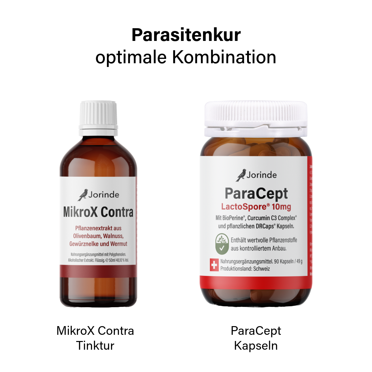 Parasitenprogramm