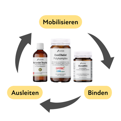 Schwermetallausleitung Jorinde