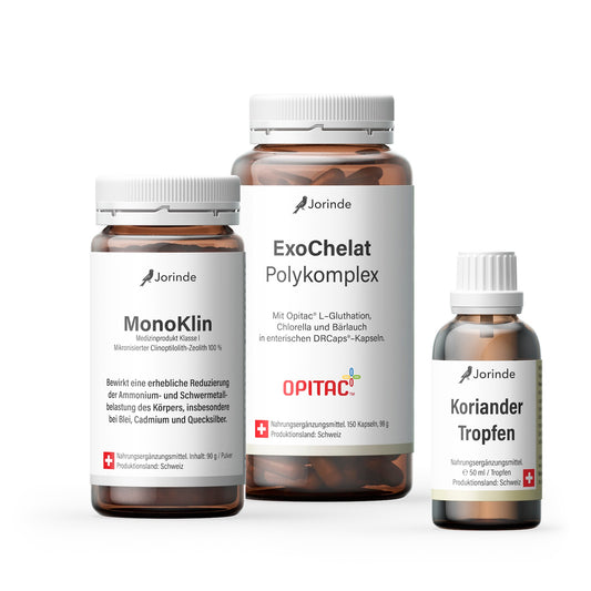 Schwermetall Ausleitung