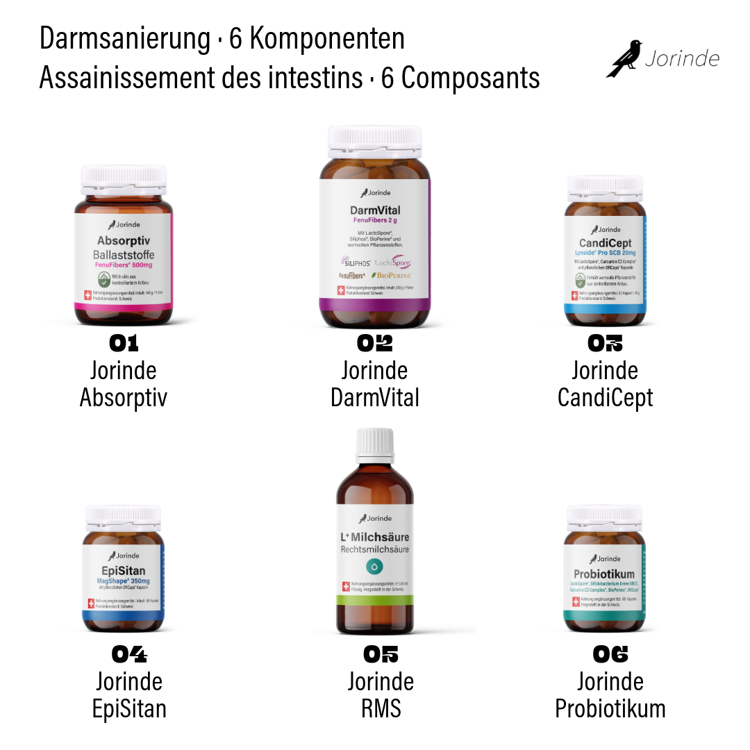 Darmsanierung Komplett Jorinde